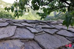 相约保守村子山西平顺县：保守村子中浸湿文化